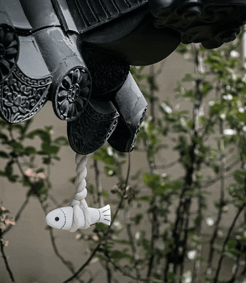 7706a5633a724a39f16e103aedbcba19_1764742712_254.gif 7706a5633a724a39f16e103aedbcba19_1764742712_254.gif