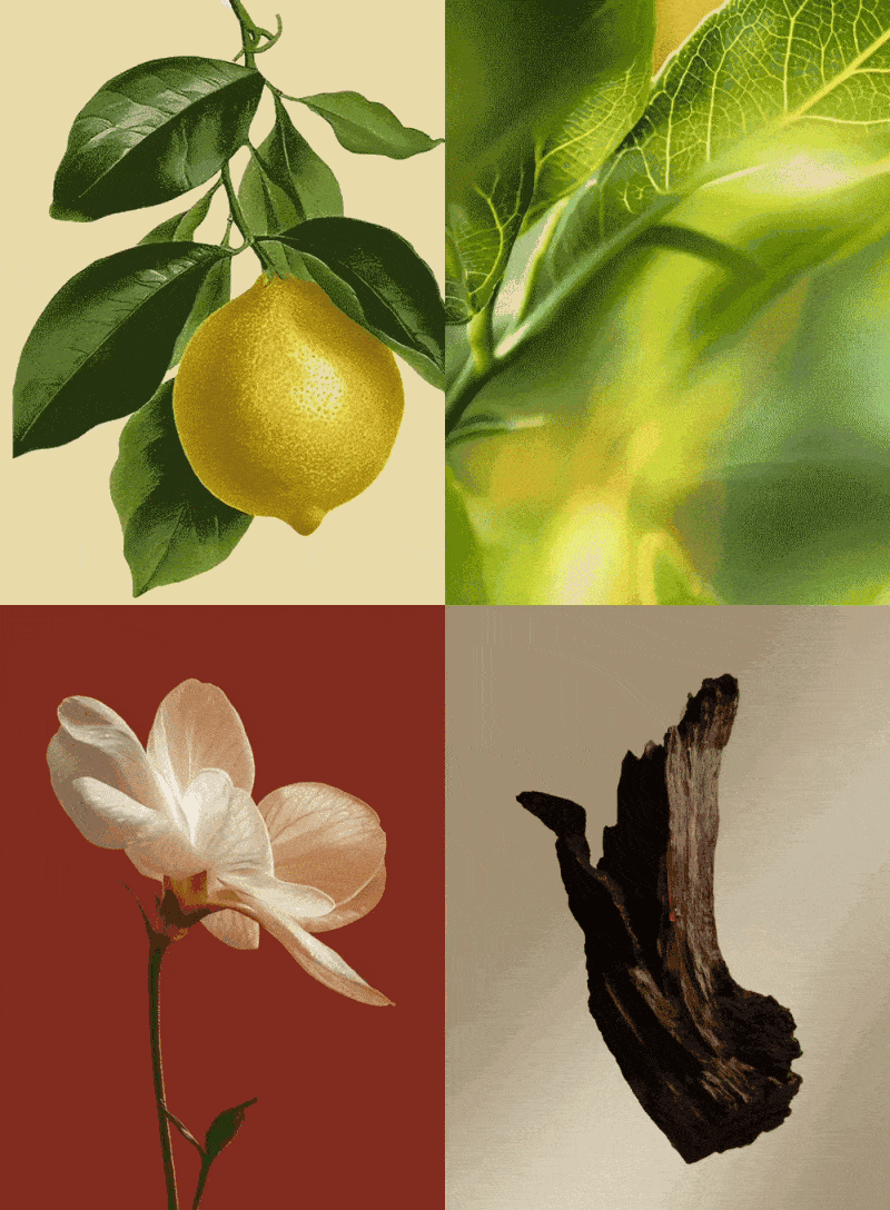 ad262ea80f520f8809678003e50792b2_1775714030_2201.gif